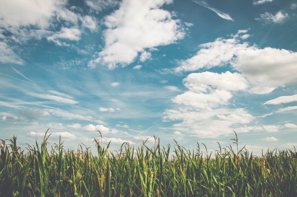 The Rise of Cloud Computing and its Impact on Software Development and Website Development